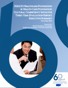 Cultural Competency Initiative Third Year Report, Executive Summary
