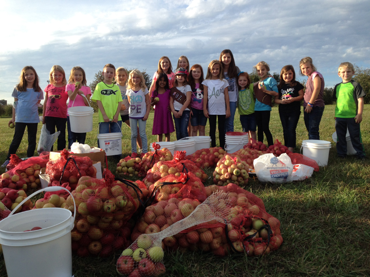 Healthy Communities: volunteers glean produce for After the Harvest